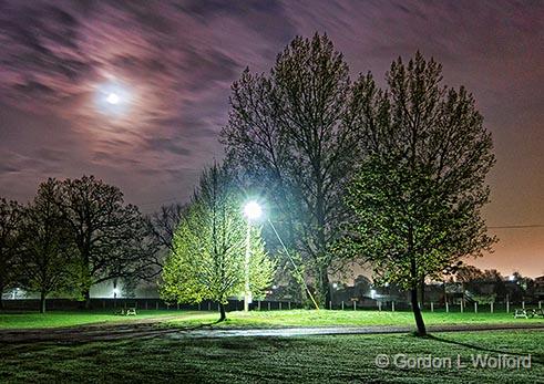 Park At Night_00258.jpg - Photographed at Smiths Falls, Ontario, Canada.